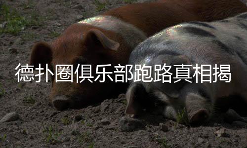 德扑圈俱乐部跑路真相揭秘(2025最新)