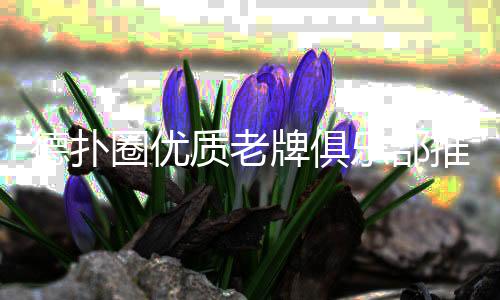 德扑圈优质老牌俱乐部推荐(2025最新精选)