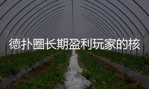 德扑圈长期盈利玩家的核心策略与实战技巧(2025最新)